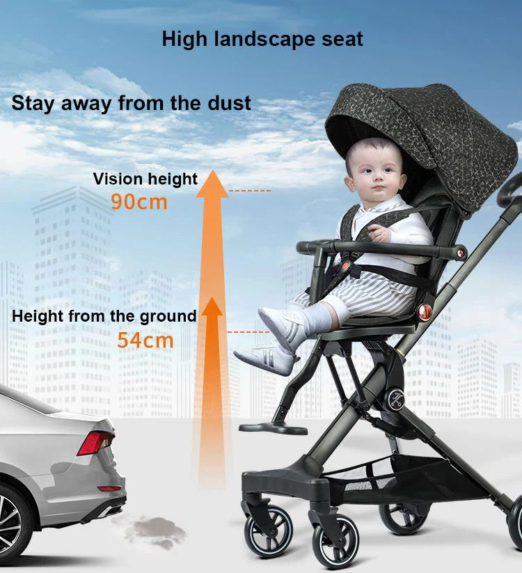 Stroller for Big Kids